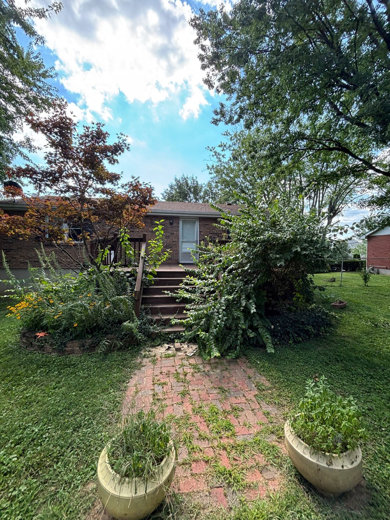 Before: raised bed overgrown with weeds and volunteer plants